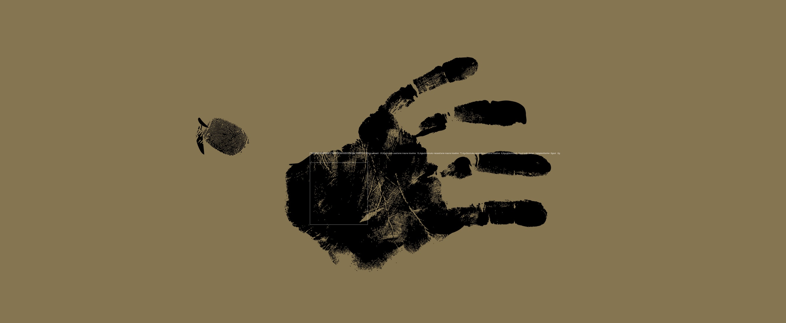 ruzmarin logo bottom